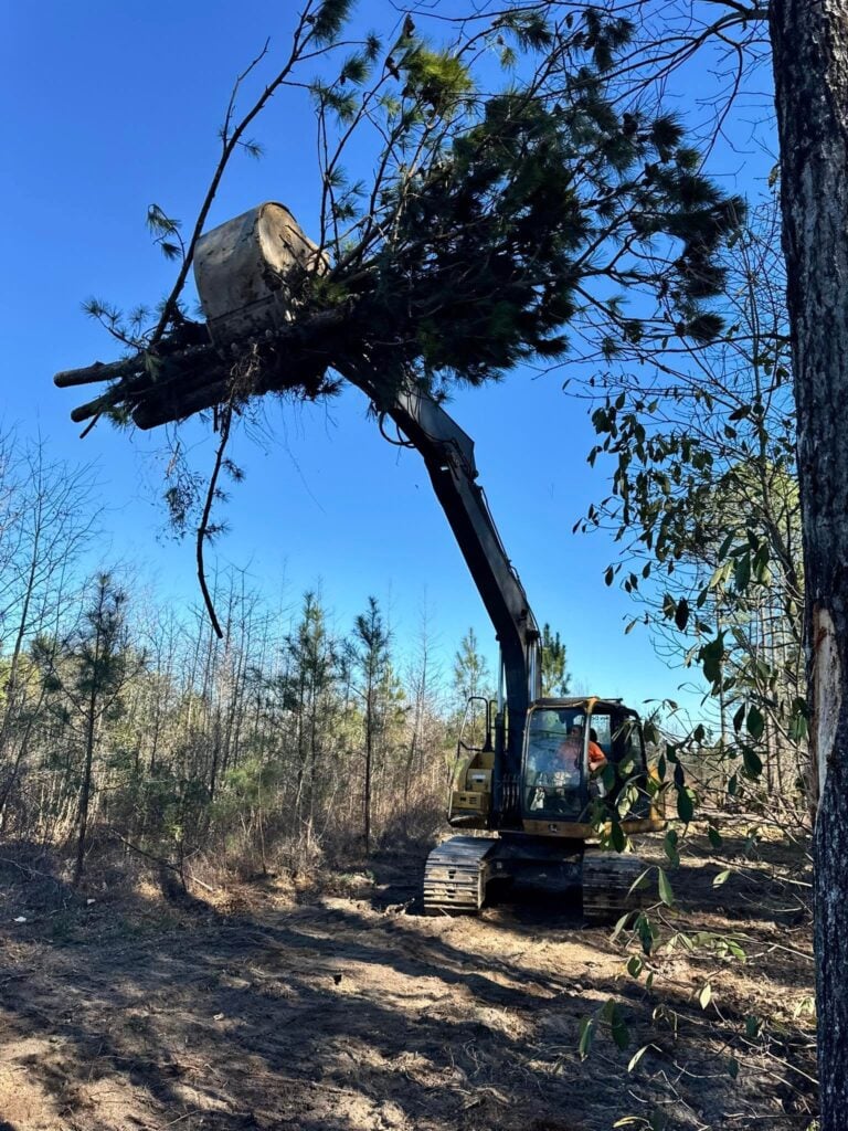 tree removal florence county sc